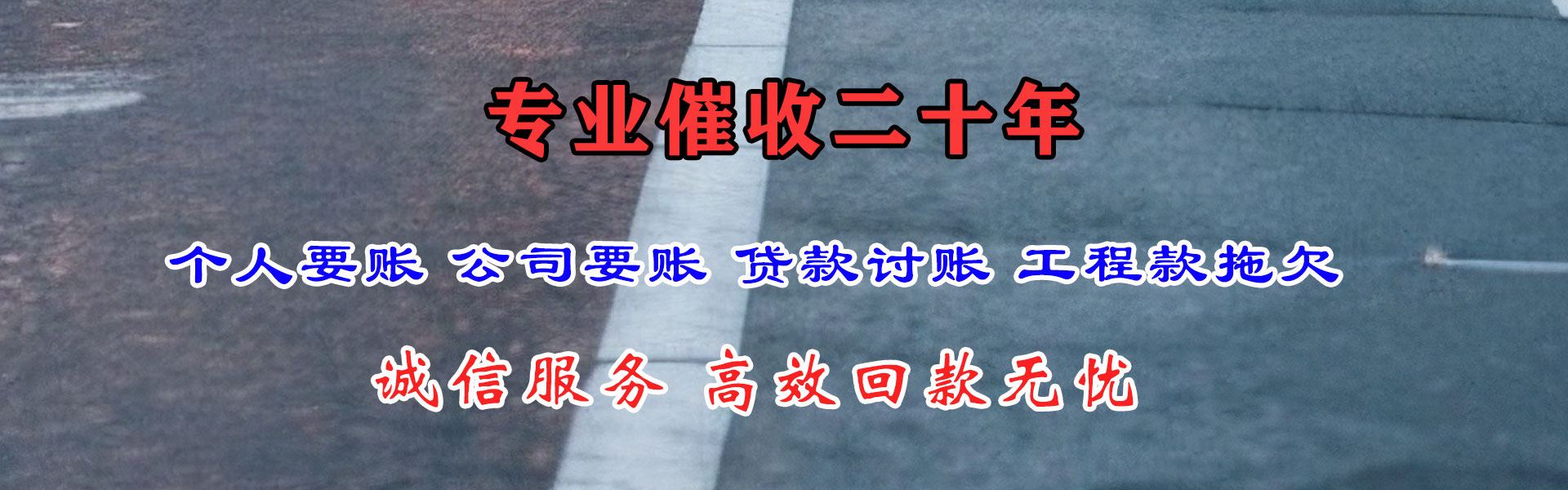 当阳追帐公司